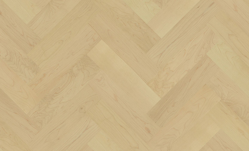 Hard Maple Madera